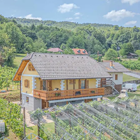 In - Kranjska Krain 35279 *