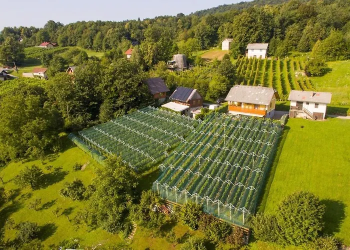 In - Kranjska Krain 35279 別荘