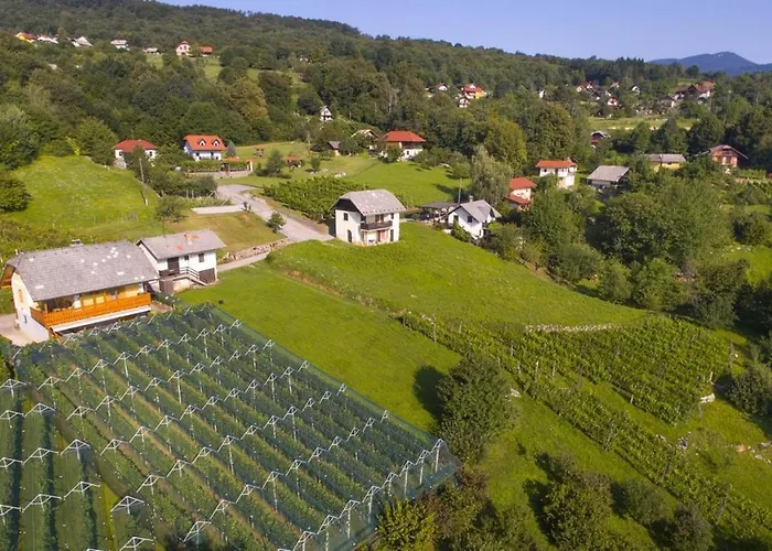 度假居 In - Kranjska Krain 35279 *