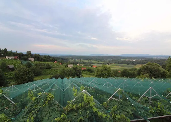 In - Kranjska Krain 35279 度假居